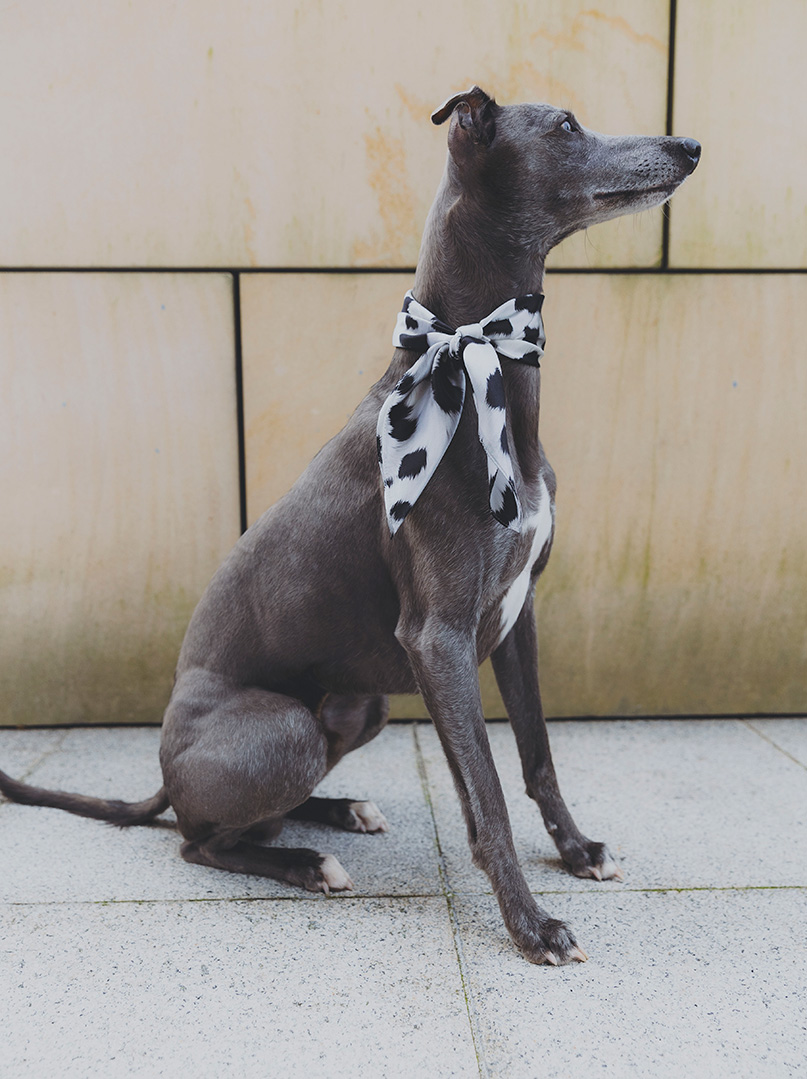 Small silk scarf LUNA NERA 53x53 cm PREMIUM image 1